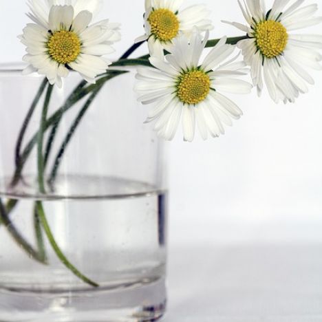 KOD 140<br><strong> WAZON CYLINDER - ŚWIECZNIK</strong><br>Wymiary: h 10 x 10 cm<br><strong>Ilość na stanie: 15*</strong><br>*możliwa większa ilość<br><strong>Cena wypożyczenia:  3 zł</strong>