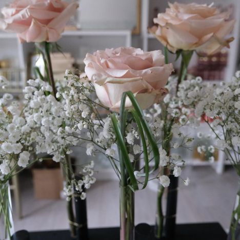 KOD 246<br><strong>PODSTAWKI CZARNE / PROBÓWKA</strong><br>Wymiary: 30 x 15 CM<br><strong>Ilość na stanie: 16</Strong><br><strong>Cena wypożyczenia: 10 zł </strong>