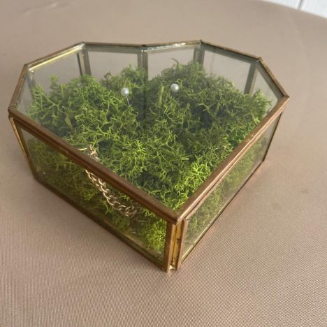 KOD 425<br><strong>KASETKA  SERCE</strong><br> Wymiary: 13 x 12 x 5 cm<br>Ilość na stanie: 1</strong><br><strong>Cena wypożyczenia:  15 zł</strong>