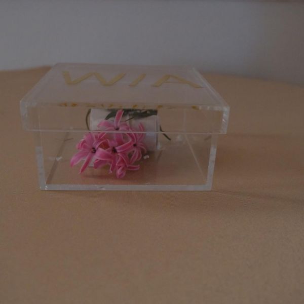 KOD 429<br><strong>KASETKA PLEKS</strong><br> Wymiary: 10 x 10 x 5 cm<br>Ilość na stanie: 1</strong><br><strong>Cena wypożyczenia:  15 zł</strong>